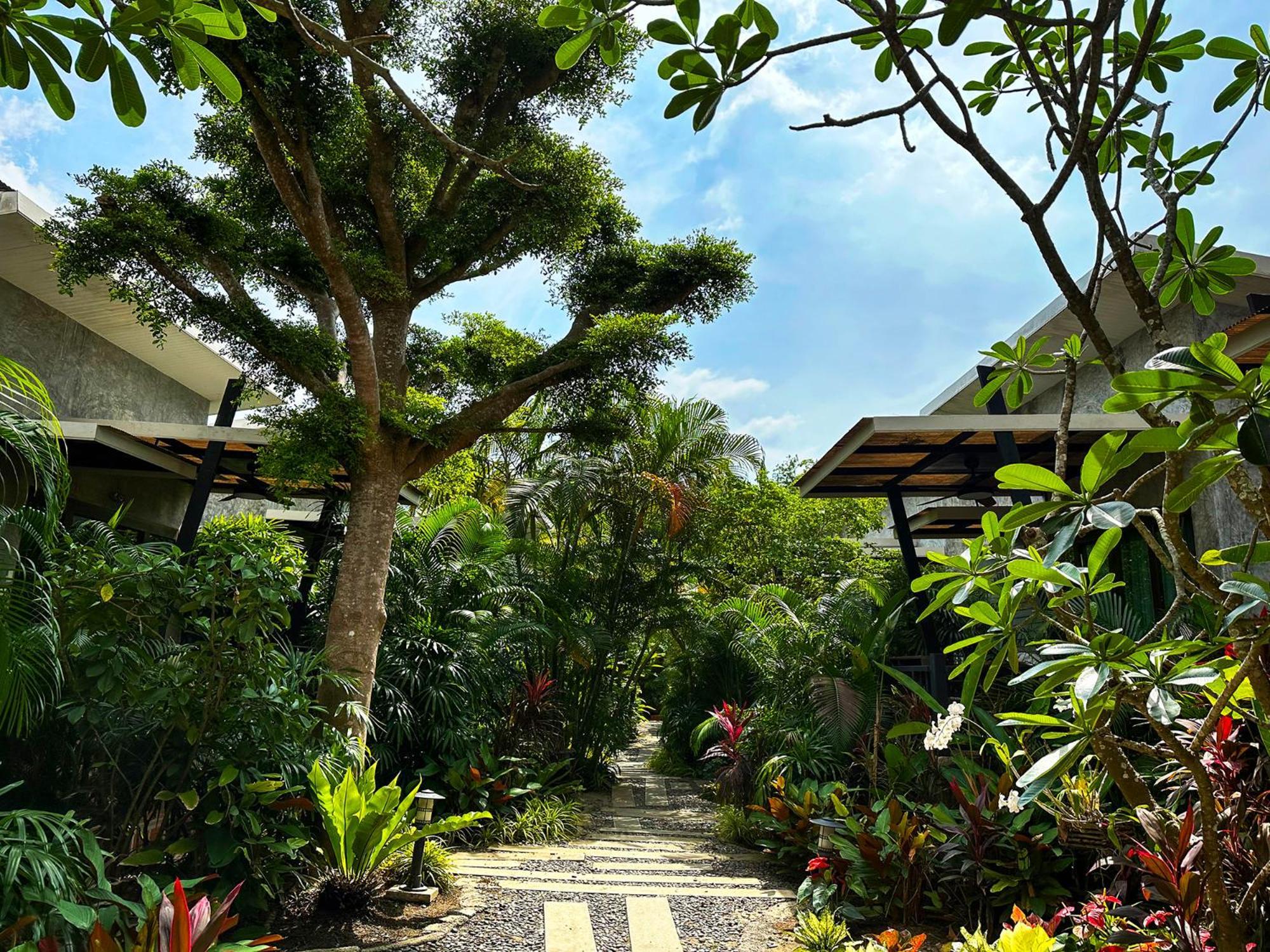 Dreamville Koh Phangan Thong Sala Luaran gambar
