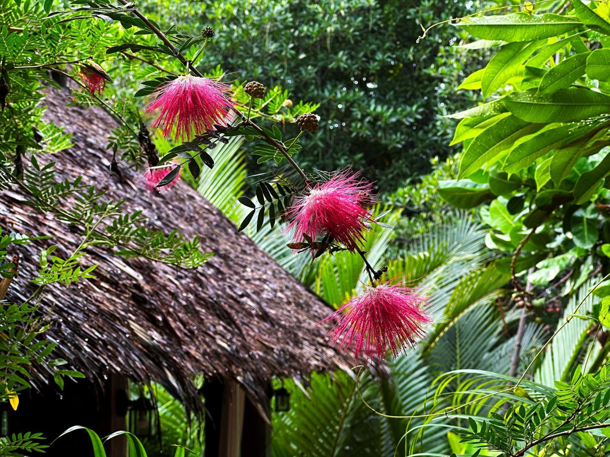Dreamville Koh Phangan Thong Sala Luaran gambar